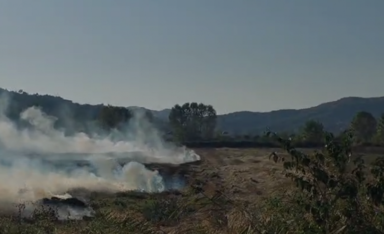 PËRFSHIHEN NGA FLAKËT DISA HEKTARË TOKË NË BUBQ/ Era favorizon përhapjen e zjarrit