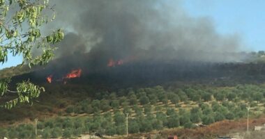 ZJARR PRANË FSHATIT RISILI NË VLORË/ Tre zjarrfikëse në vendin e ngjarjes