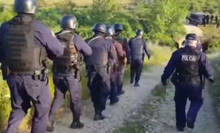 DETAJET E PARA/ Policia dhe FNSH zbarkojnë në Vlorë, zbulohet një sipërfaqe e mbjellë me kanabis