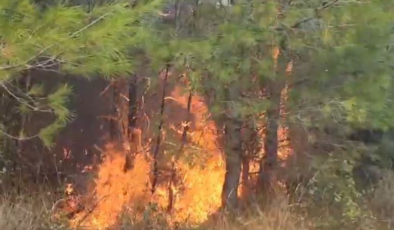 PREJ 8 DITËSH BETEJË ME FLAKËT NË PISHËPORO DHE DARËZEZË/ Si u rrezikua gjatë natës një banesë, vijon…