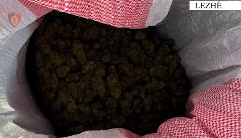POLICIA AKSION NË LEZHË/ Sekuestrohen 4.3 kg kanabis, 3 të arrestuar për drogë