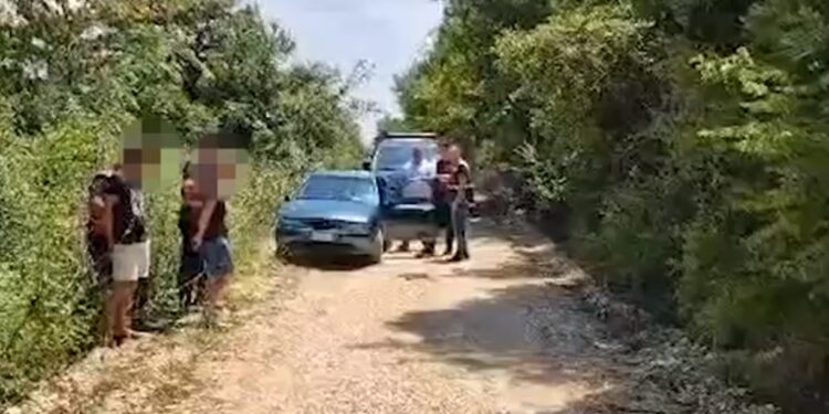 EMRAT/ Kultivuan mbi 10 mijë bimë kanabisi, në pranga 3 persona. Policia: Funksiononin si grup kriminal