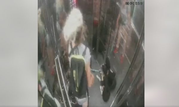 PAMJET TRONDITËSE/ Gruaja në Tiranë dhunon në mënyrë barbare qenin në ashensor