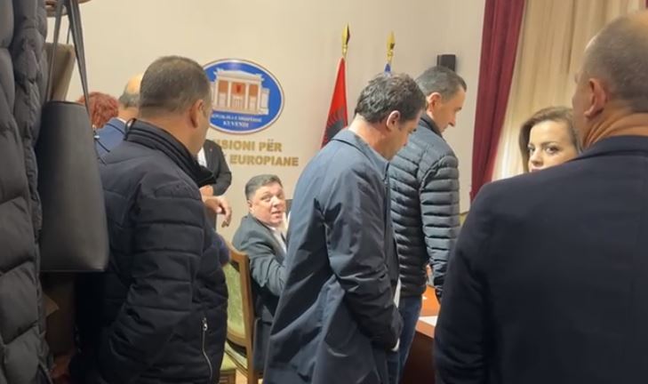 “NUK E BËJ PRESIDENTE INA RAMËN”/ Si nisi sherri mes deputetëve të PD: Jeni bërë dele mo Niku!
