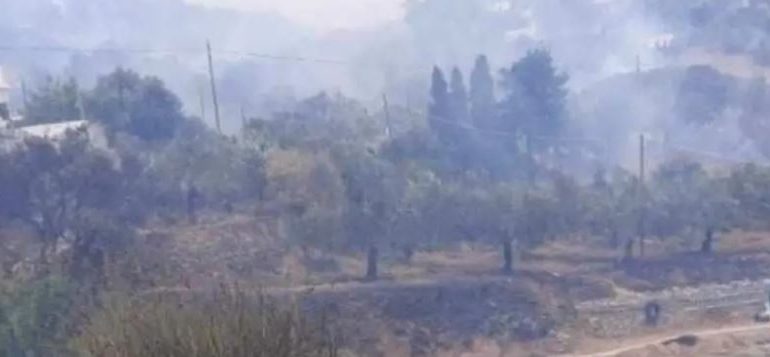 ZJARRI PËRFSHIN FSHATRAT NË GREQI/ 40 zjarrfikës në betejë me flakët