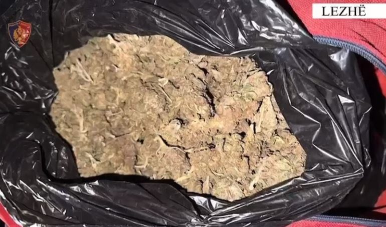 U KAP DUKE TRANSPORTUAR NË MAKINË NJË ÇANTË ME KANABIS/ Arrestohet 22-vjeçari në Lezhë