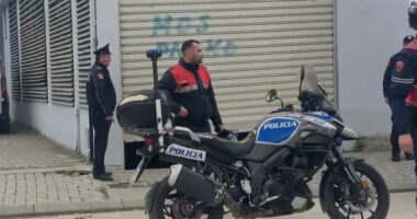 DROGË DREJTË TURQISË/ Gjykata lë në burg grupin që tentoi të trafikonte 500 kg kanabis