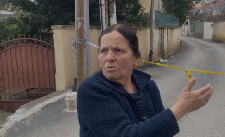 “I DËGJOVA TË BËRTISNIN”/ 2 vëllezërit e vdekur në Fresk, pronarja e banesës ku jetonte Lulzim Cami: Ka ardhur në mëngjes këtu…