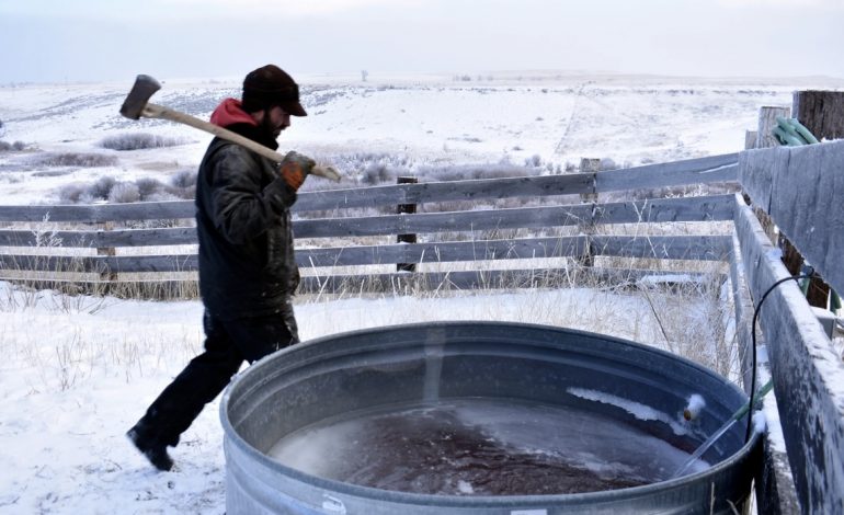SHBA “MBËRTHEHET” NGA MOTI I FTOHTË/ Autoritetet thirrje për kujdes