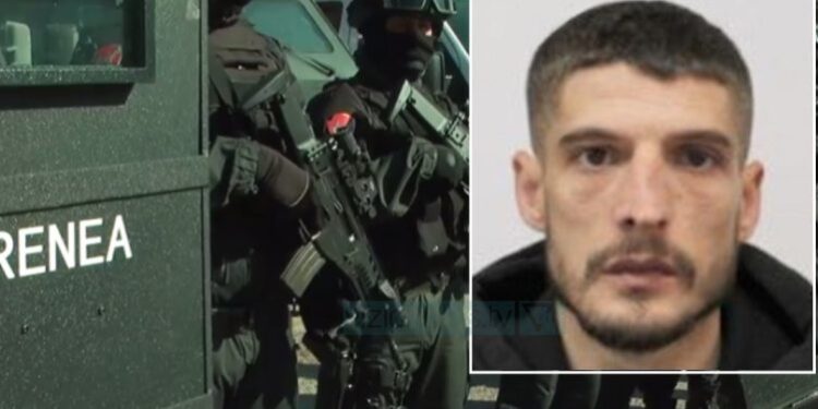 AKSIONI/ Forcat speciale “blindojnë” Shkodrën për të arrestuar mikun e Martinajt, qëllohet qeni pasi sulmojnë banesën