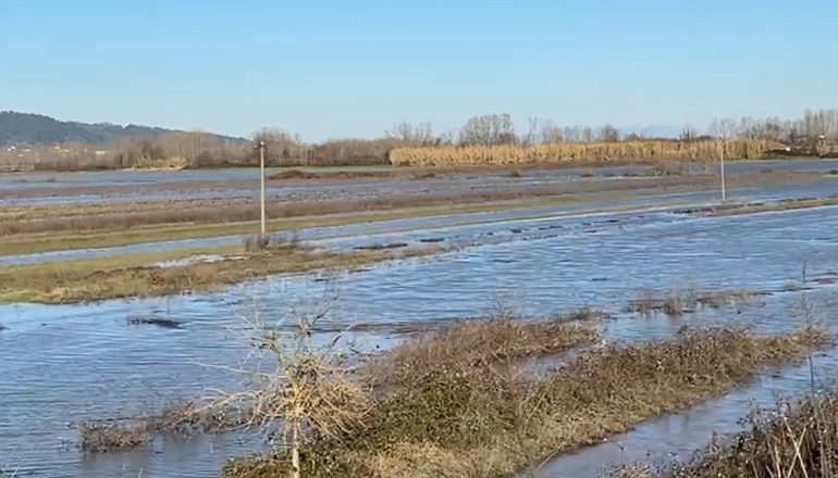 DALJA E LUMIT ISHËM NGA SHTRATI/ Qindra hektarë tokë bujqësore ende nën ujë