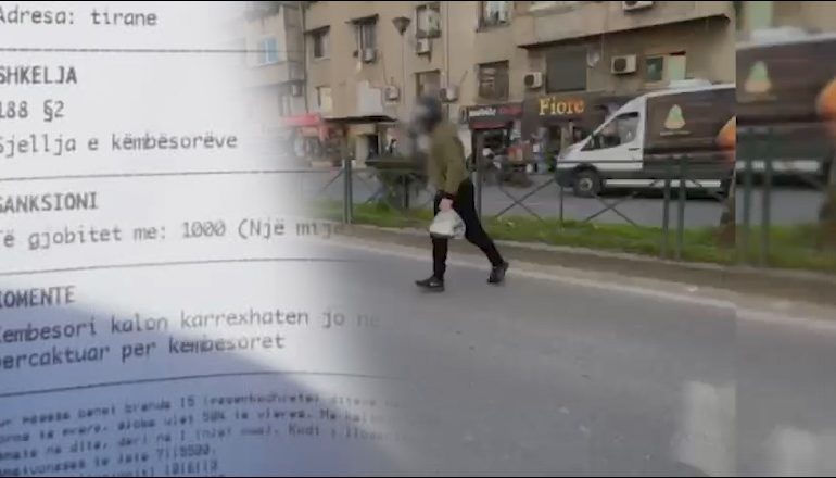 VIDEOLAJM/ Kujdes këmbësorë, po priten gjoba