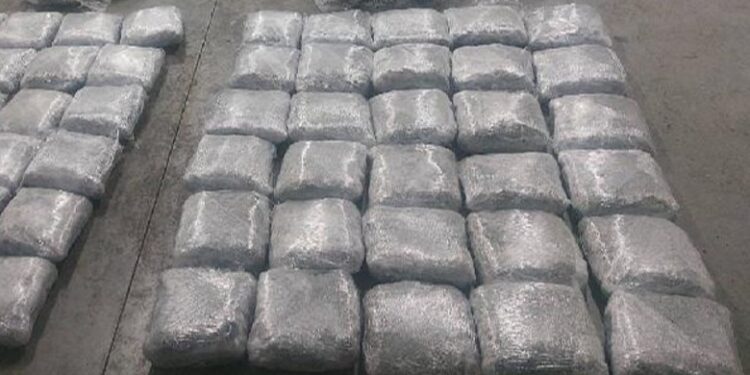 U NIS NGA SHQIPËRIA/ Policia malazeze sekuestron 65 kg kanabis sativa