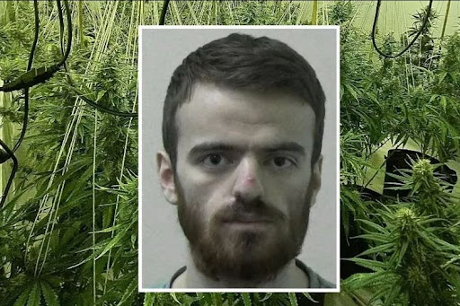 “DONTE TË LANTE BORXHET E BABAIT”/ I riu shqiptar i kapur në ‘shtëpi bari’ dënohet me burg