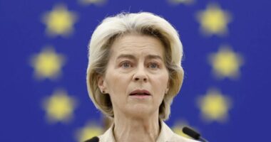 ZGJEDHJET EUROPIANE/ Republikanët francezë nuk do të mbështesin von der Leyen