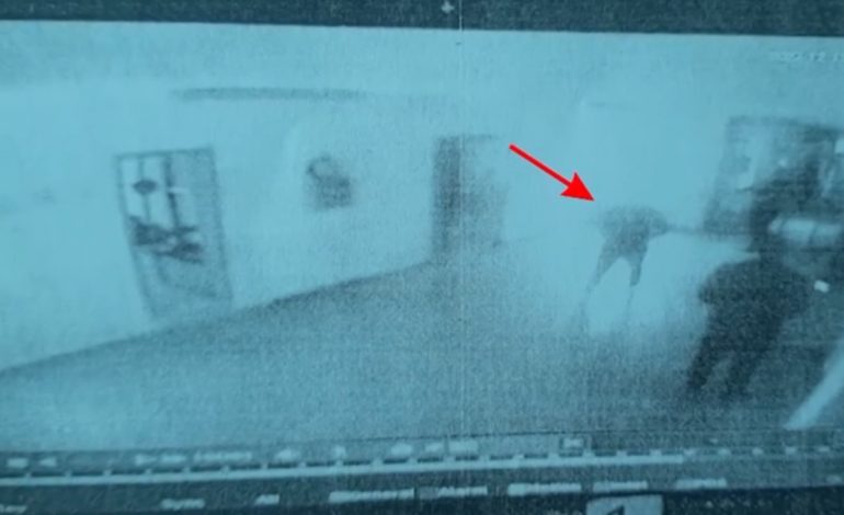 VRASJA E ARBEN LLESHIT/ Momenti kur Mjacaj del nga qelia me armën e krimit, oficerët e shoqëronin