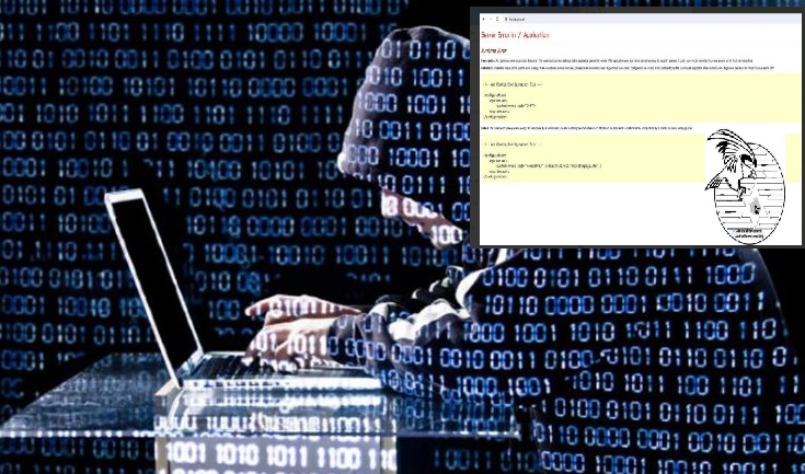 “GODASIN” SËRISH HAKERAT IRANIANË/ Sulmohet faqja zyrtare e webit të Institutit Shqiptar të Statistikave