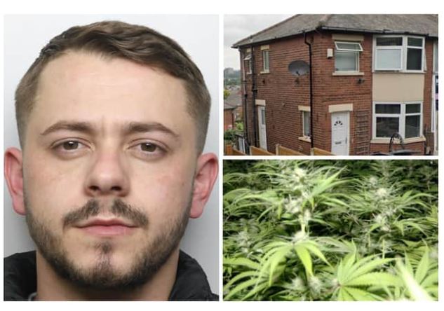 E PËSON KEQ SHQIPTARI/ Kujdesej për shtëpinë e barit në Leeds, arrestohet nga policia britanike