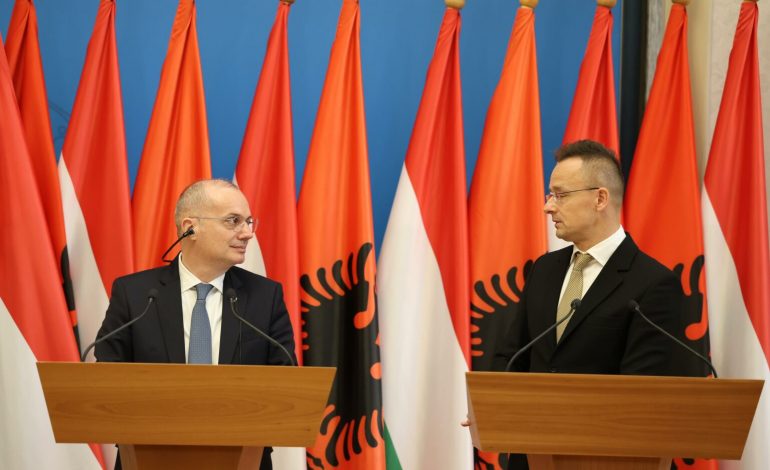 VIZITË ZYRTARE NË HUNGARI/ Ministri Hasani: Besimplotë në mbështetjen e rrugëtimit evropian të Shqipërisë