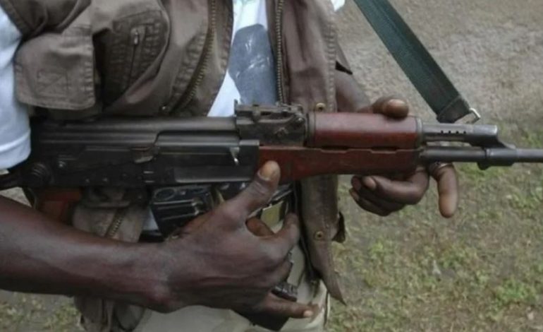 ISHIN RRËMBYER NGA BANDAT/ Lirohen më shumë se 280 nxënës nigerianë