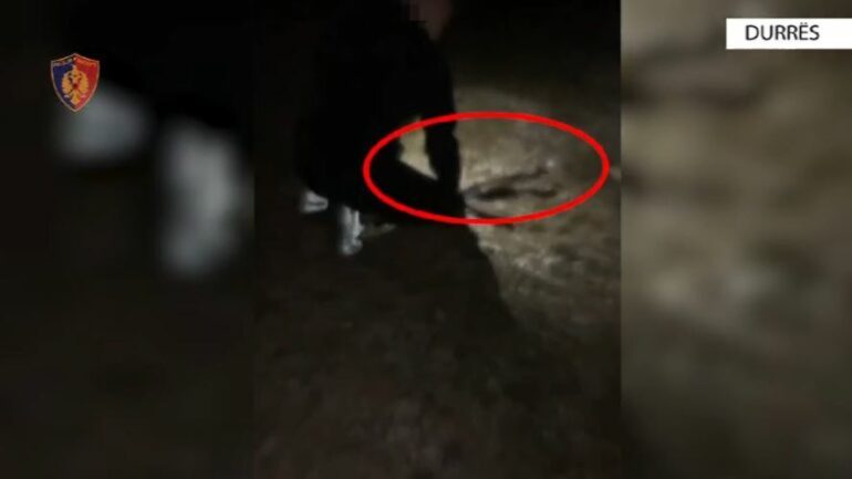 ÇFARË NDODHI NË DURRËS? Me kallashnikov pa leje kryenin qitje gjatë natës dhe postonin videot në TikTok, 6 të arrestuar