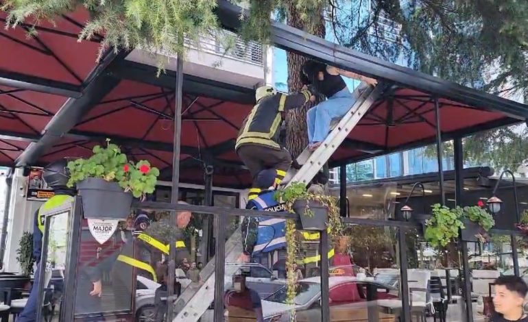 NDODH NË DURRËS/ Vajzën e hedhin nga kati i dytë i një hoteli (VIDEO)
