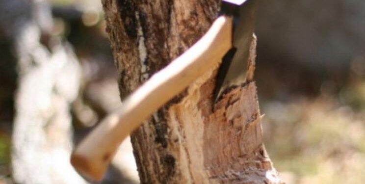 E RËNDË/ Shkoi për të prerë dru, humb jetën 65-vjeçari në Maliq