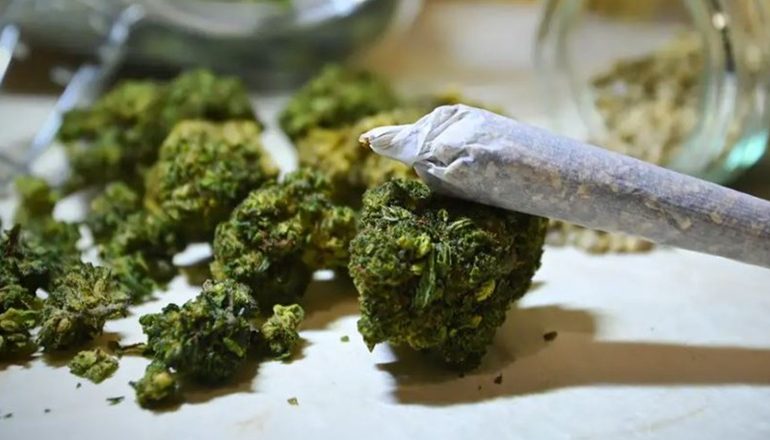 GJERMANI/ U legalizua në fillim të Prillit, gjoba të larta për përdorimin e kanabisit në timon