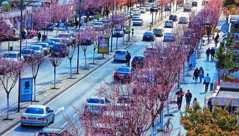 PAMJET MAGJIKE/ Pranvera troket në Fier, ngjyra e freski në qytet