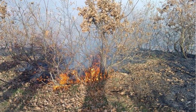 ZJARR NË MALIQ/ Era e fortë favorizon përhapjen e flakëve (PAMJET)