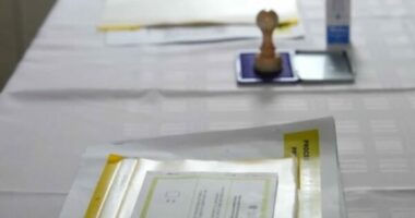 REFERENDUMI NË VERI TË KOSOVËS/ Shpallen rezultatet zyrtare: 18 serbë votuan pro shkarkimit të kryetarëve