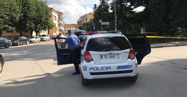 KAPEN MAT/ Kishin fshehur 10 kg kanabis në makinë, dy të arrestuar në Korçë