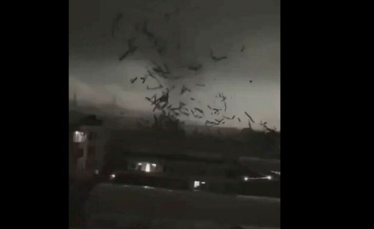 TORNADO E FUQISHME GODET KINËN/ Të paktën 5 të vdekur dhe 33 të plagosur