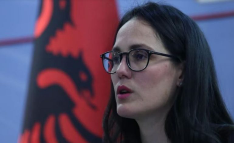 NGA MESAZHET KËRCËNUESE, TEK FYERJET NDAJ…/ Zbardhet raporti i Prokurorisë: Andri Ibrahimaj e goditi Eri Koshajn me gozhdë