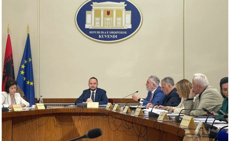 DEBATE TE KOMISIONI HETIMOR/ Gogu: Po bëheni avokati i Berishës. Salianji: Po kërceni nga belaja