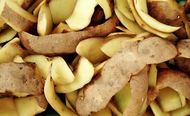E DINIT? Vlerat e habitshme të lëkurës së patates për diabetin, zemrën dhe rënien në peshë