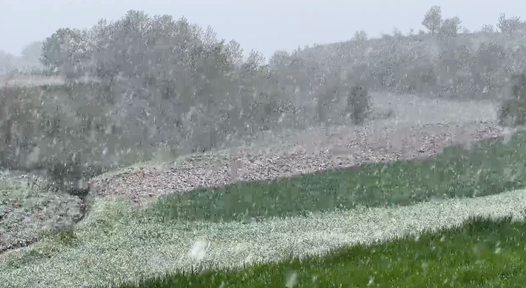 ULJE TEMPERATURASH/ Bora mbulon Dibrën, shkaktohen dëme në frutikulturë (VIDEO)