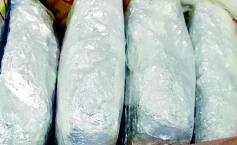 EMRI/ Kapet me 10 kg marijuanë, arrestohet i riu shqiptar në Itali