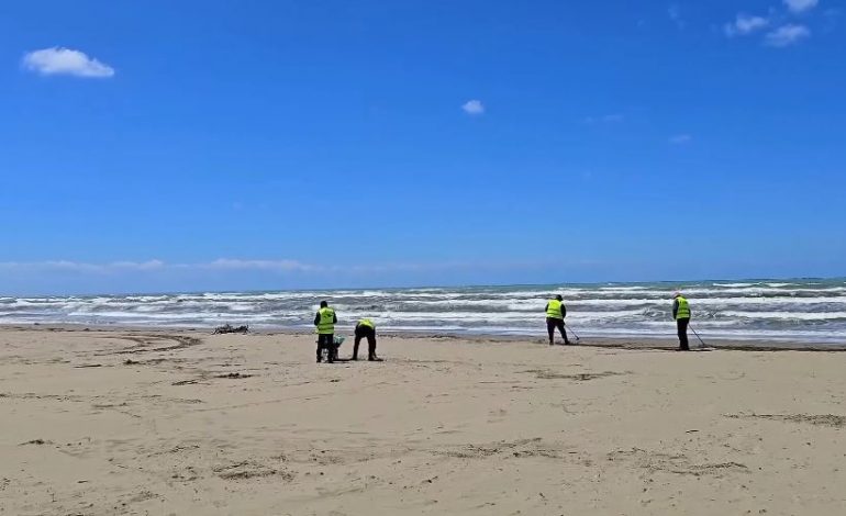 PUBLIKON PAMJET/ Rama: Perla e Adriatikut, Darzeza po bëhet gati për sezonin veror