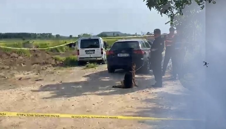 VRASJA E EFEKTIVIT/ Policia kontrolle me dron për autorin! Dyshohet se është fshehur në fshatin Sulaj! Gjendet edhe makina