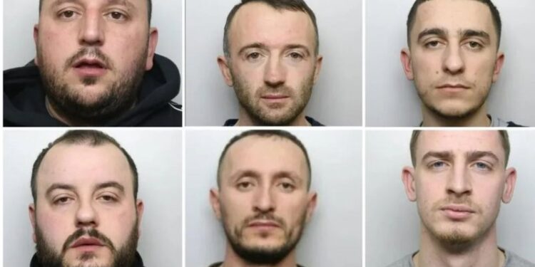 E PËSOJNË KEQ/ Ngritën fermën me kanabis me vlerë 446 mijë euro, 6 shqiptarë dënohen në Britani