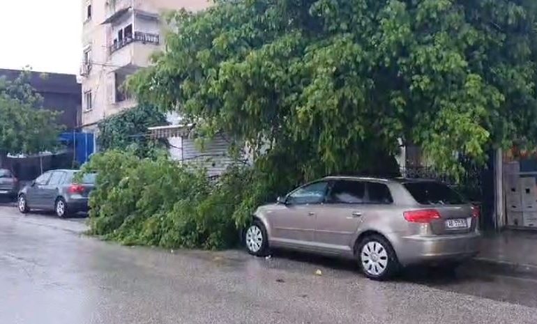 MOT I KEQ/ Reshje të dendura shiu dhe breshri në Lushnjë, dëmtohen pemët dhe të mbjellat