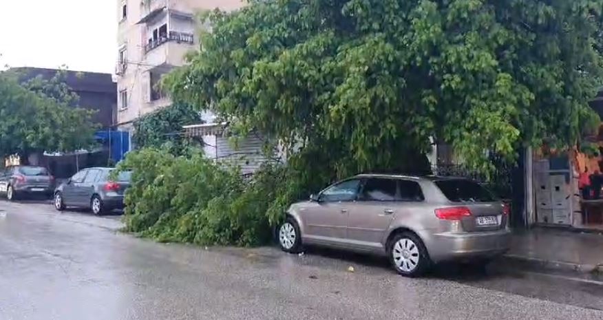MOT I KEQ/ Reshje të dendura shiu dhe breshri në Lushnjë, dëmtohen pemët dhe të mbjellat