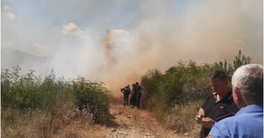 VIDEOLAJM/ Zjarr në fshatin Vllahat në Delvinë, digjen ullishte, rrezikohen disa banesa