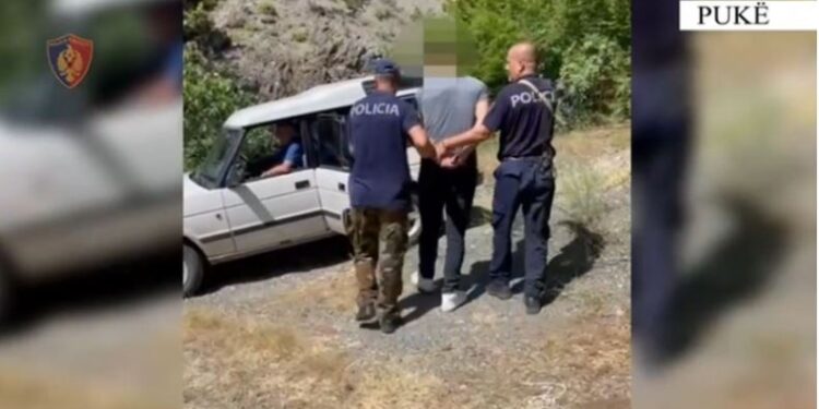 E PËSON KEQ/ Kishte kultivuar kanabis në fshatin Gojan i Vogël, arrestohet 29 vjeçari
