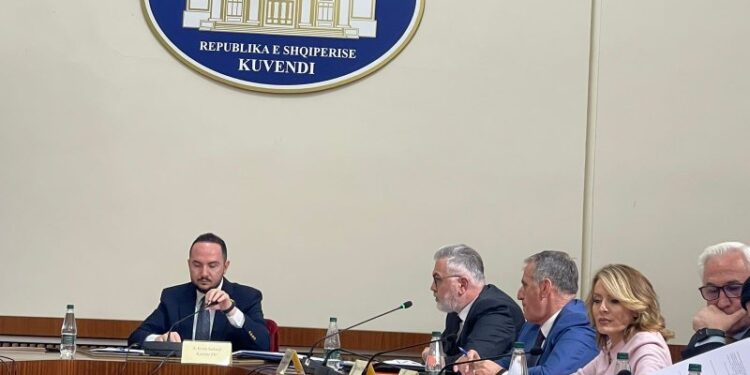 ‘TIMS’/ Dëshmia e Rrumbullakut, Gogu: Mbledhja të vijojë me dyer të mbyllura! Salianji: PS ka frikë të përballet me drejtuesit e institucioneve