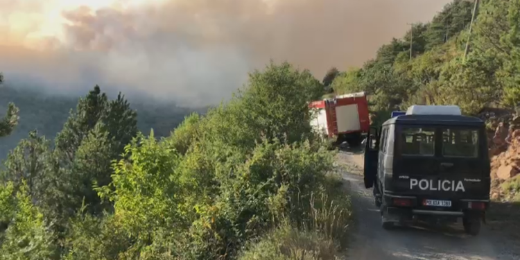TRAGJIKE/ Aksident në Elbasan, makina bie në greminë, vdes drejtuesi