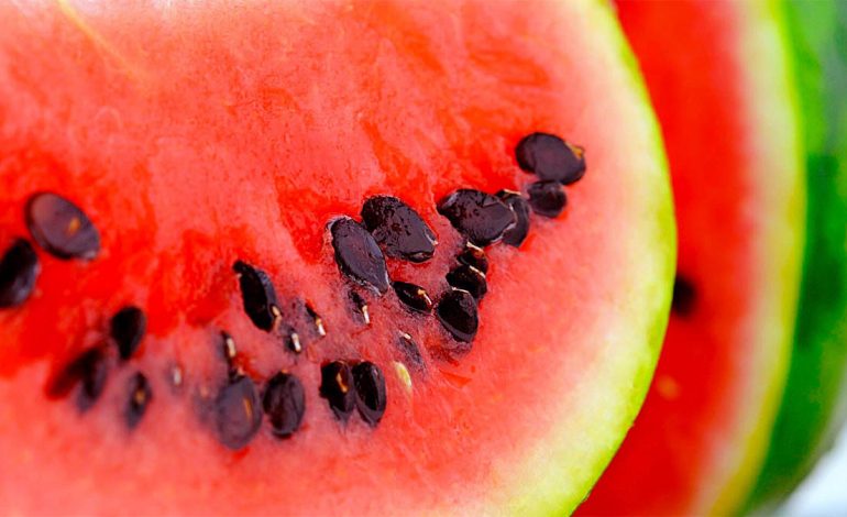 BUM I SHKËLQYER VITAMINASH PËR ORGANIZMIN/ Zbuloni cilësitë e farave të shalqirit