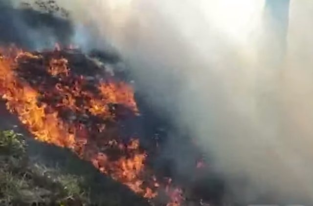 ZJARR NË GOLEM/ Flakët përhapen me shpejtësi për shkak të erës së fortë
