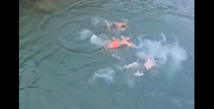 VIDEOLAJM/ Ilir Meta hidhet nga shkëmbi, tre truproja turren me not ta nxjerrin nga uji